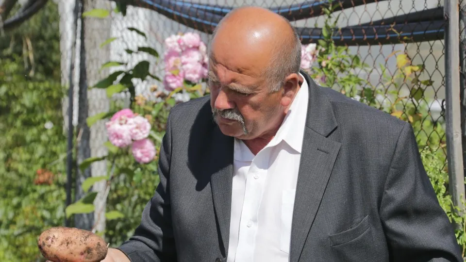 Фото: медиасток.рф