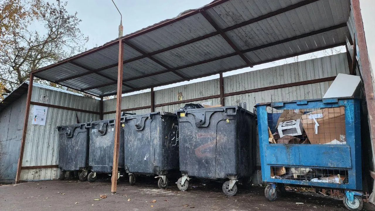 Яна Шаливская