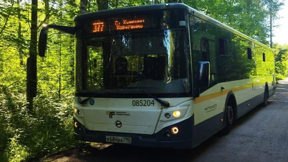 Фото: МТДИ МО