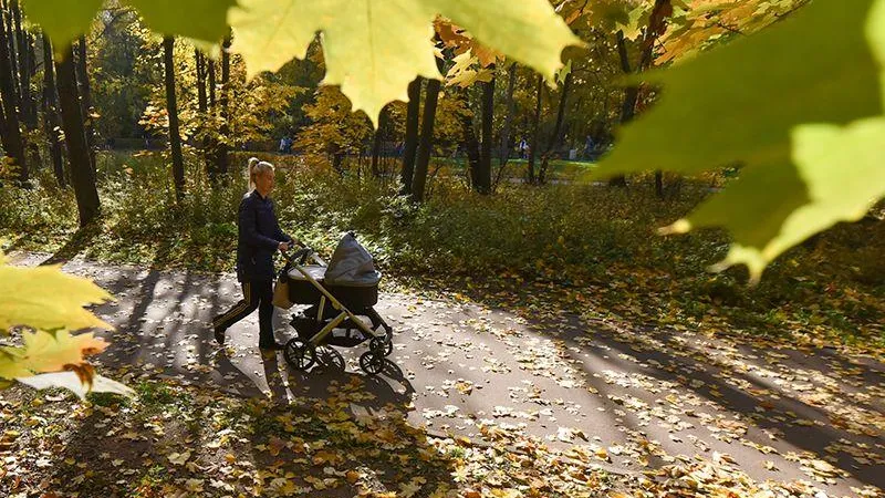 Денис Трудников/Подмосковье сегодня