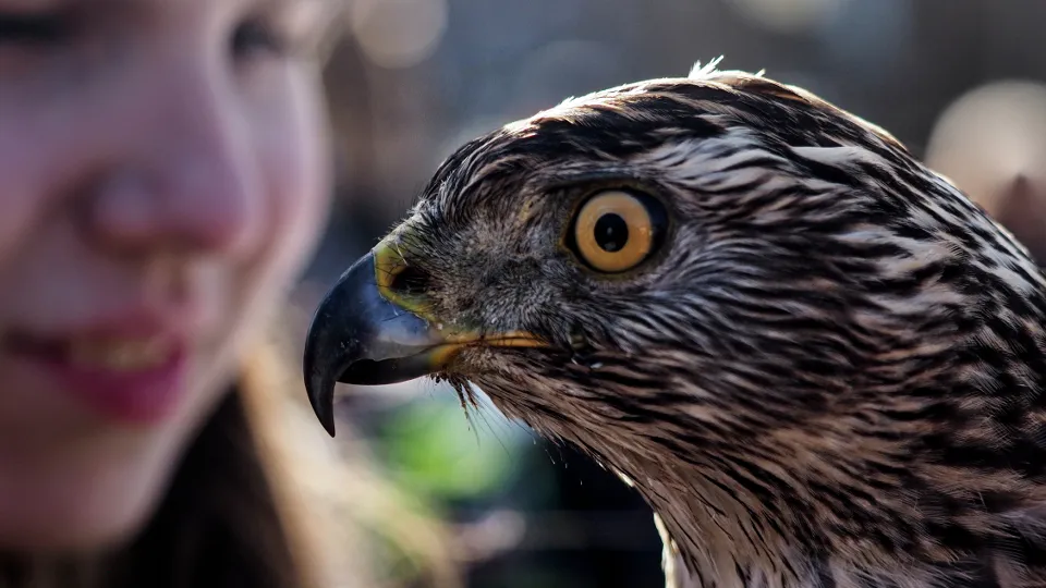 Фото: РИА Новости/Владимир Песня