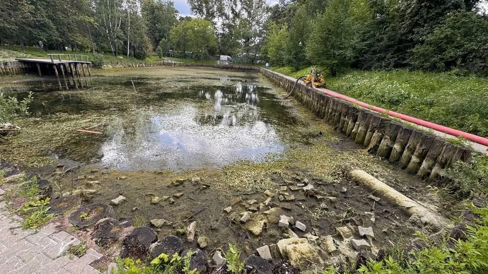 Фото: Пресс-служба администрации городского округа Мытищи