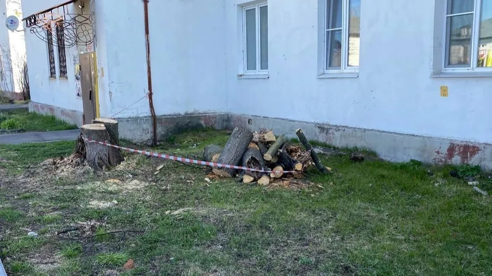 Фото: администрация Орехово-Зуевского г.о.