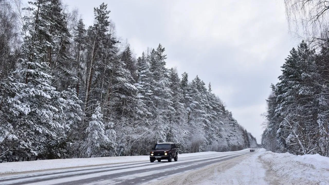 Фото: Оксана Лапшина
