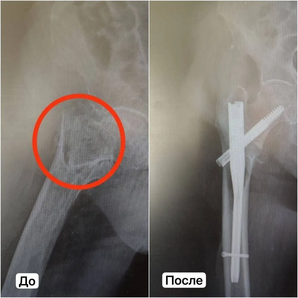 Министерство здравоохранения Московской области