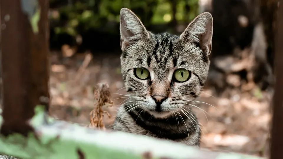 Фото: unsplash.com