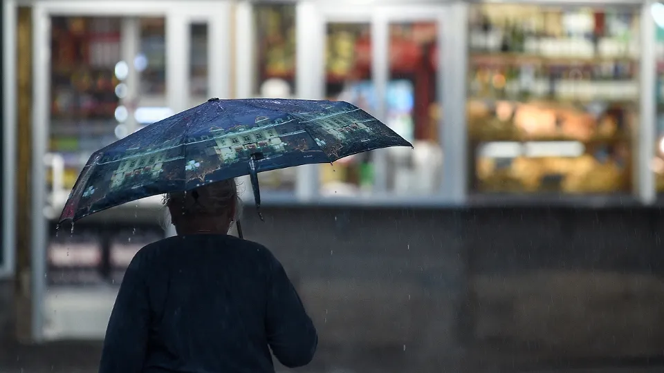 Фото: Медиаархив Подмосковья