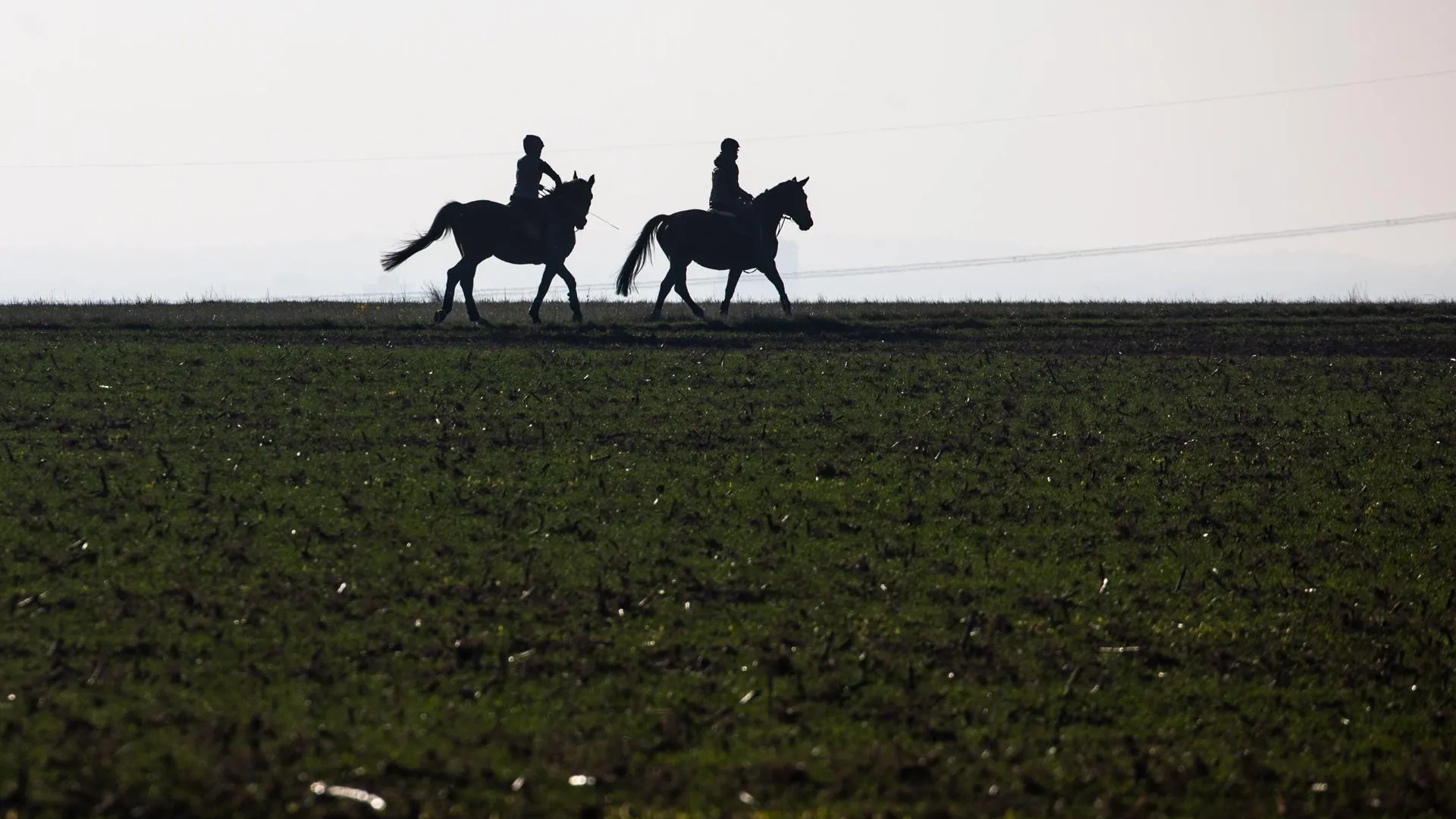 Frank Rumpenhorst/dpa