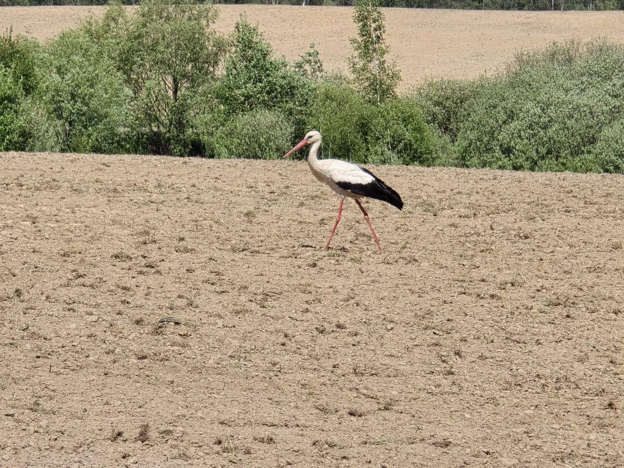Фото: REGIONS/Яна Шаливская