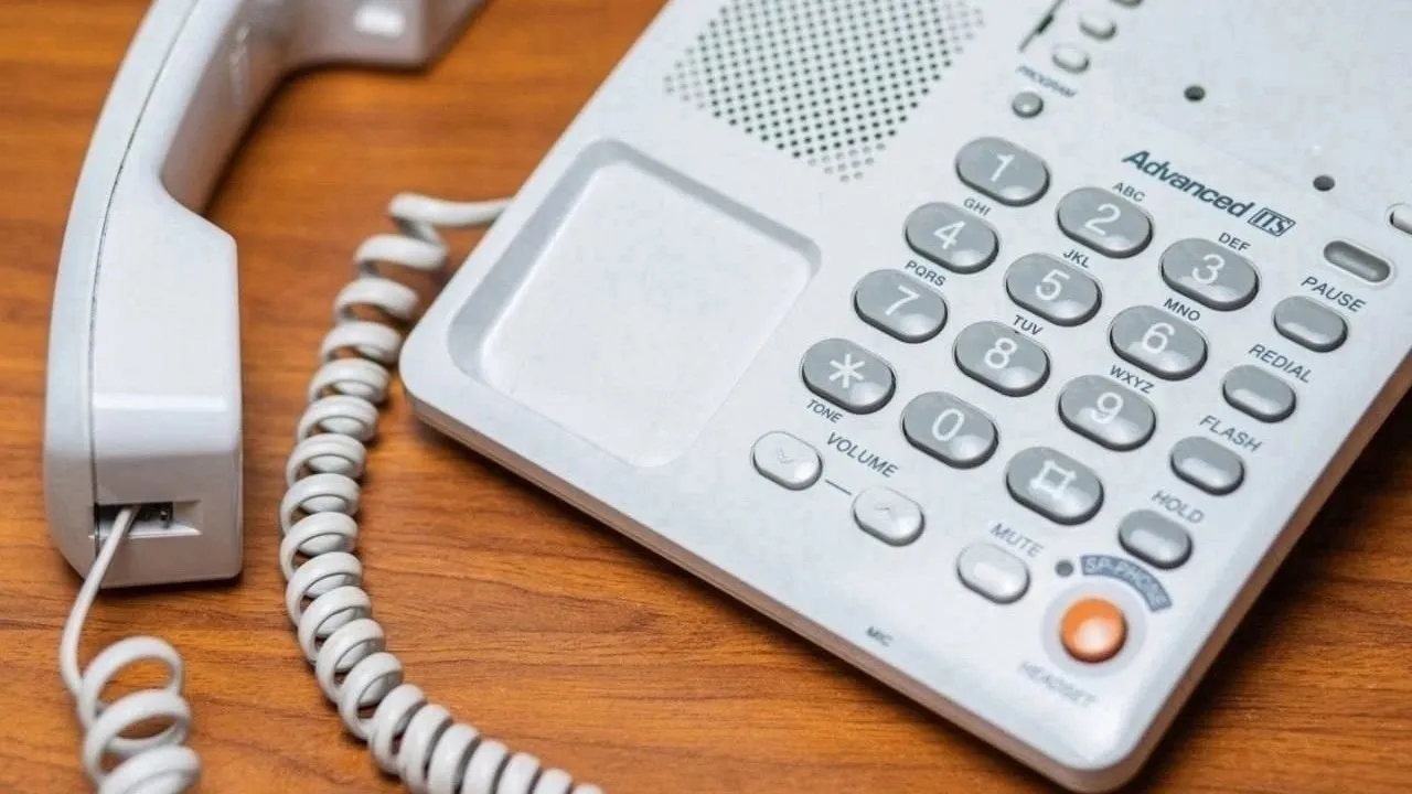 Фото: пресс-служба Администрации г.о. Кашира