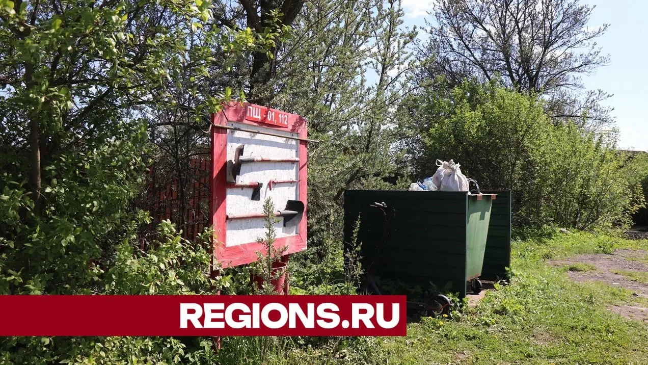 Фото: Василий Тремасов