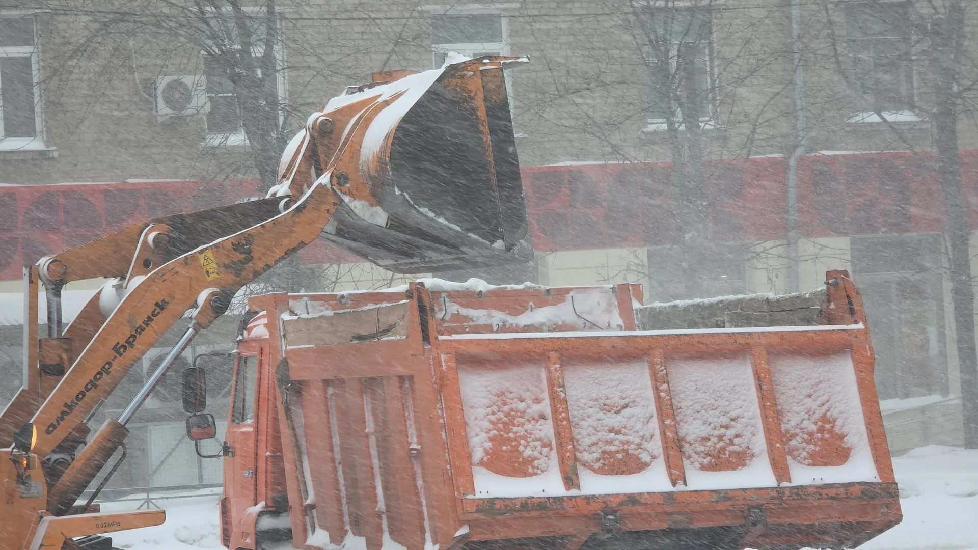 МедиаБанк Подмосковья/Мария Юдина