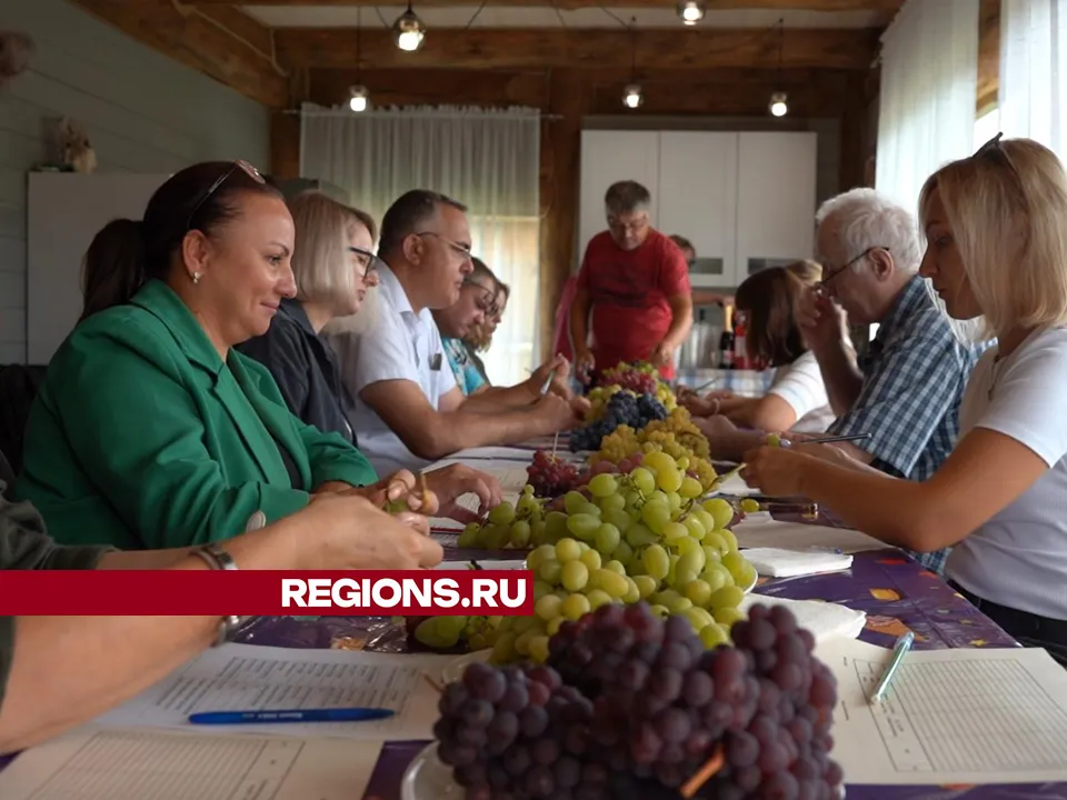 Фото: Юлия Андросова