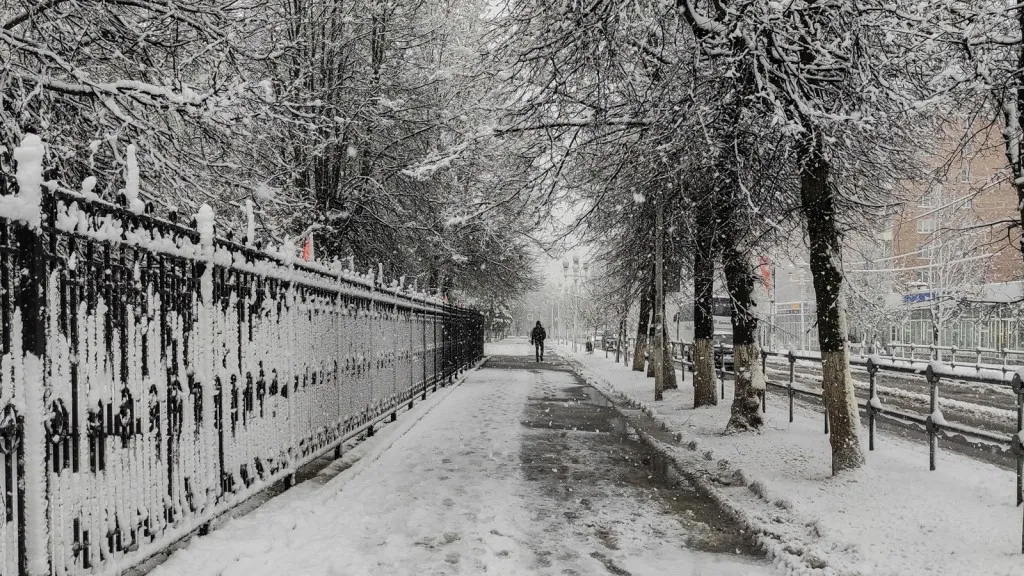 Фото: Антон Кондратюк