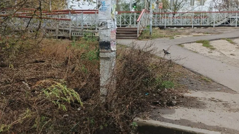 Фото: пресс-служба Администрации г.о. Воскресенск