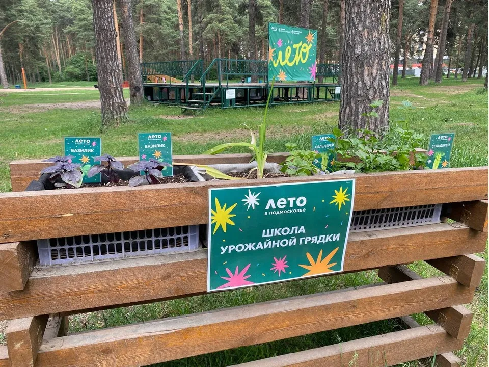 Фото: t.me/kuz_les