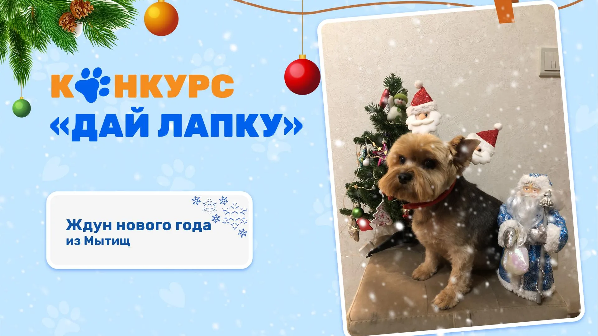 МосОблЕИРЦ