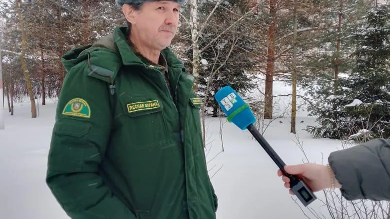 Комитет лесного хозяйства Московской области