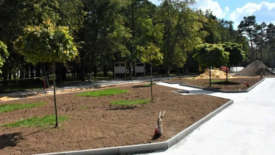 Фото: пресс-служба Администрации г.о. Жуковский