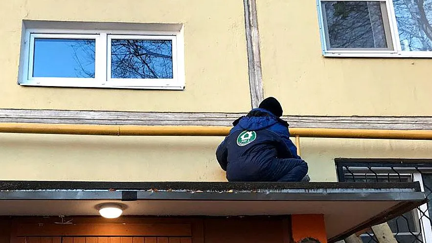 Источник фото: ГУСТ МО