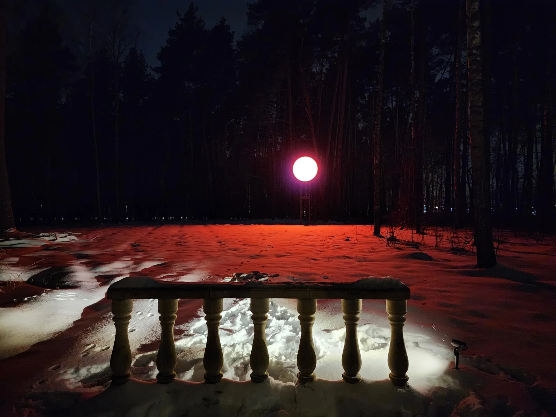 Фото: Никита Сморкалов