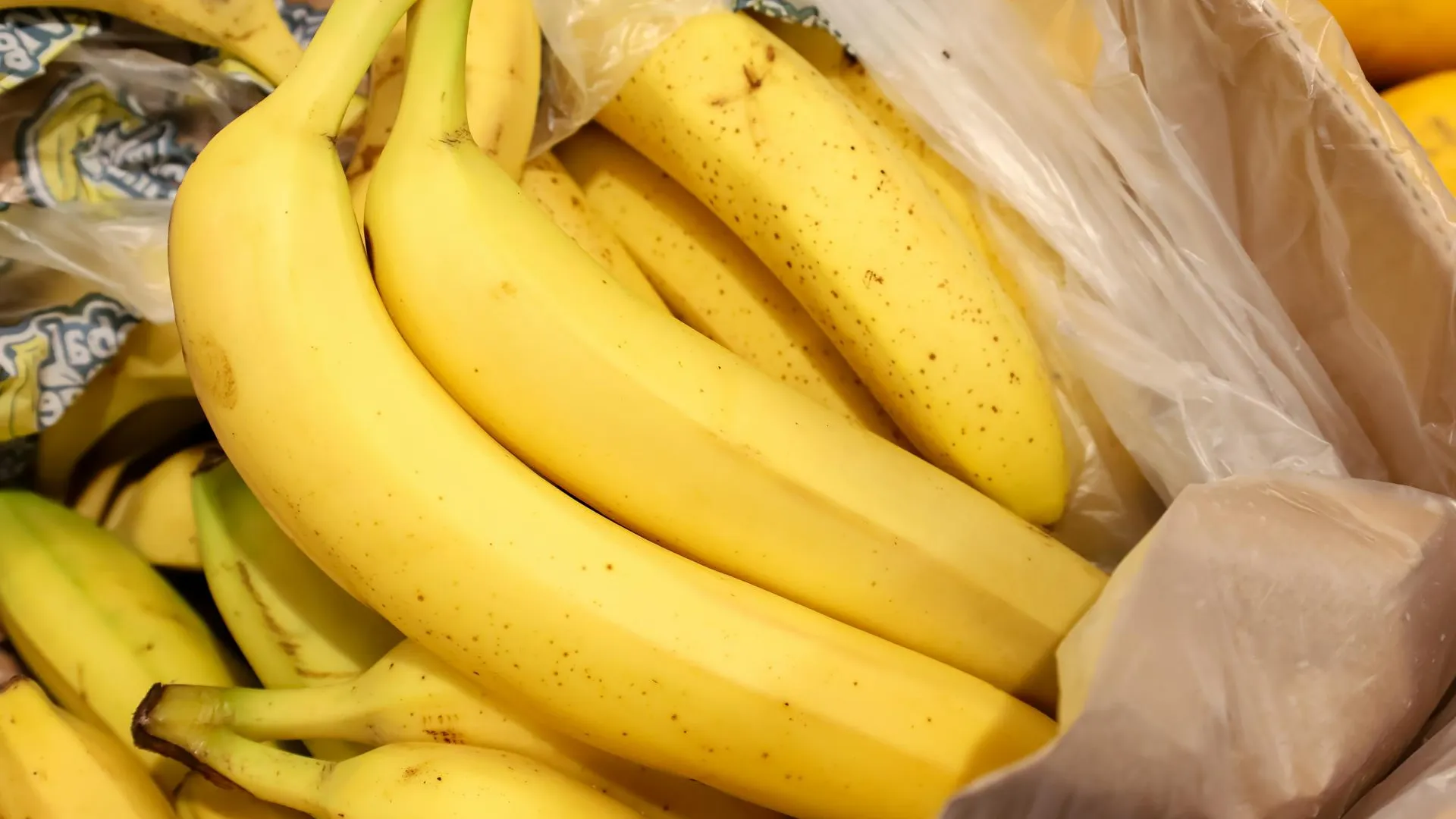 Elena Mayorova/Global Look Press