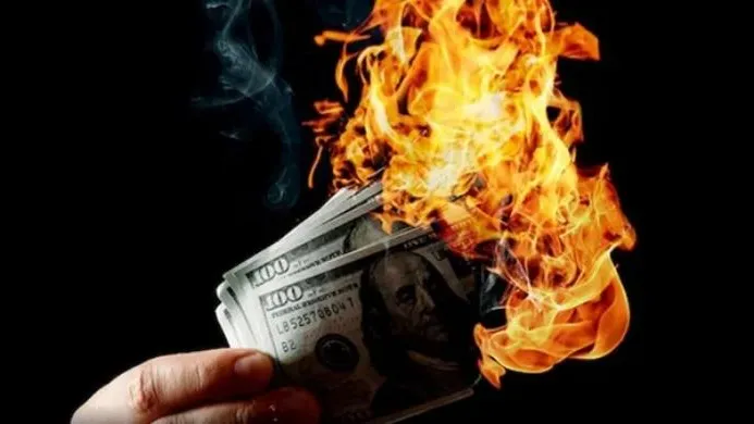 Доллары. Фото: freepik.com