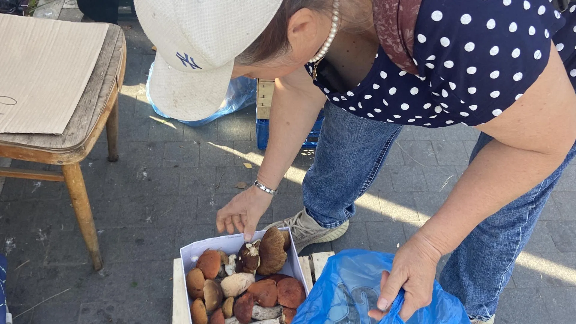 Светлана Борщева