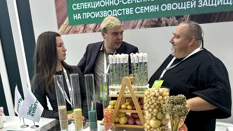 Аграрии Коломны и Озер показали свою продукцию на выставке «Золотая осень»