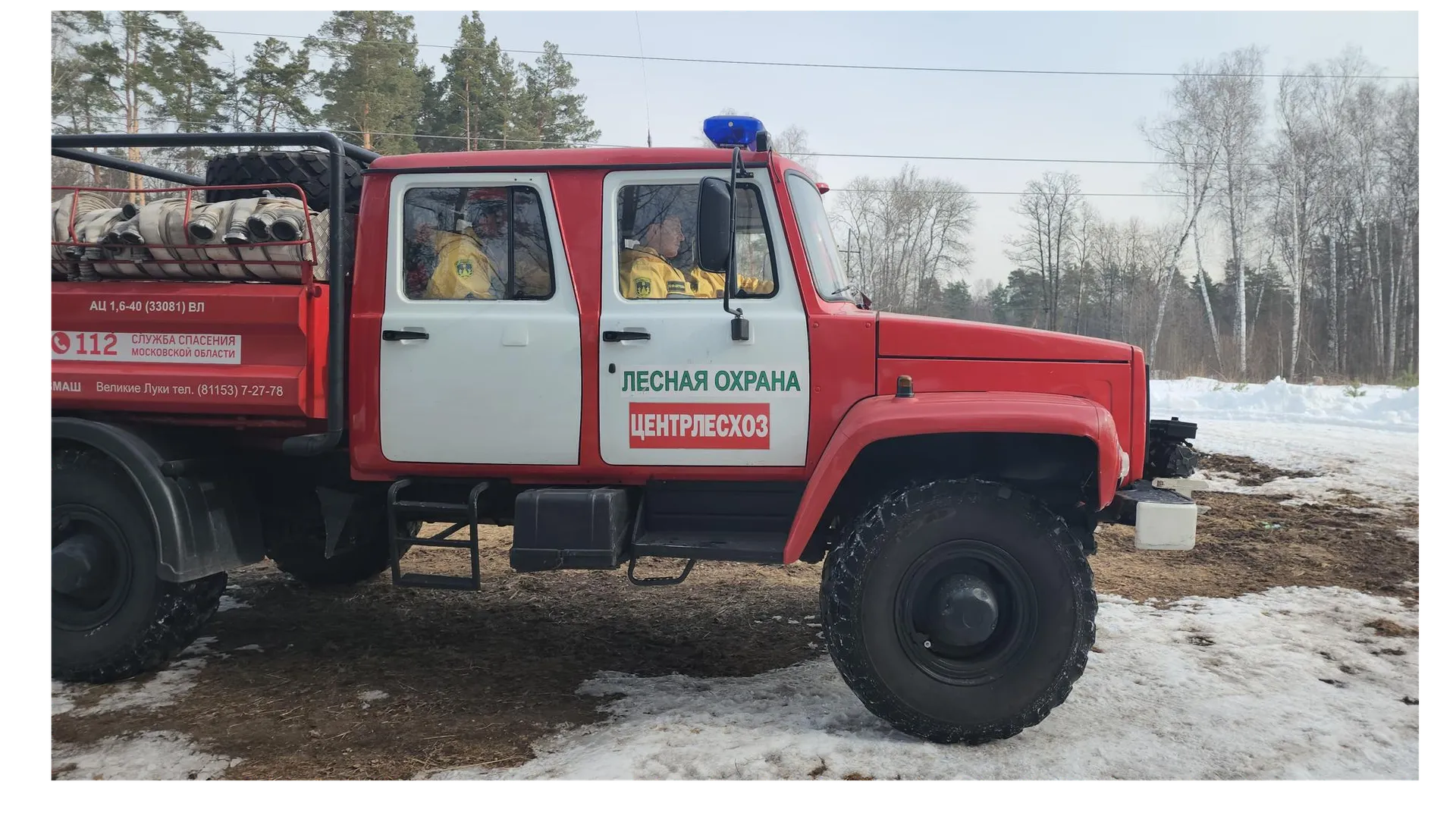 фото: Александр Степушкин