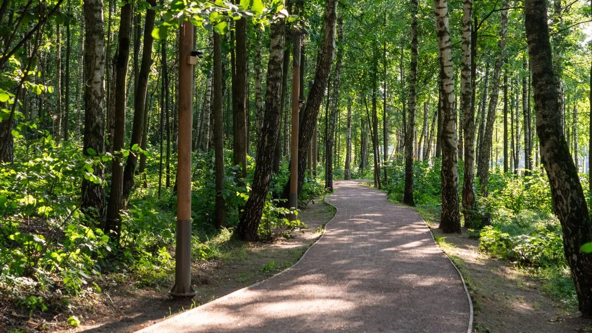 Фото: медиасток.рф