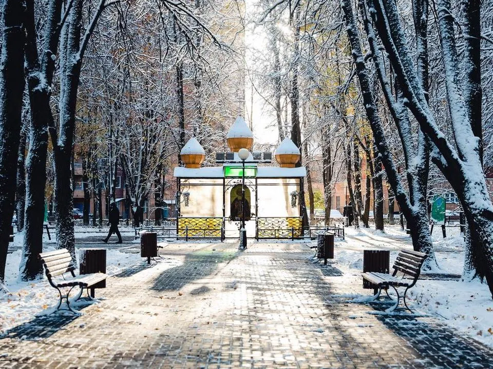 Фото: пресс-служба администрации г.о. Химки