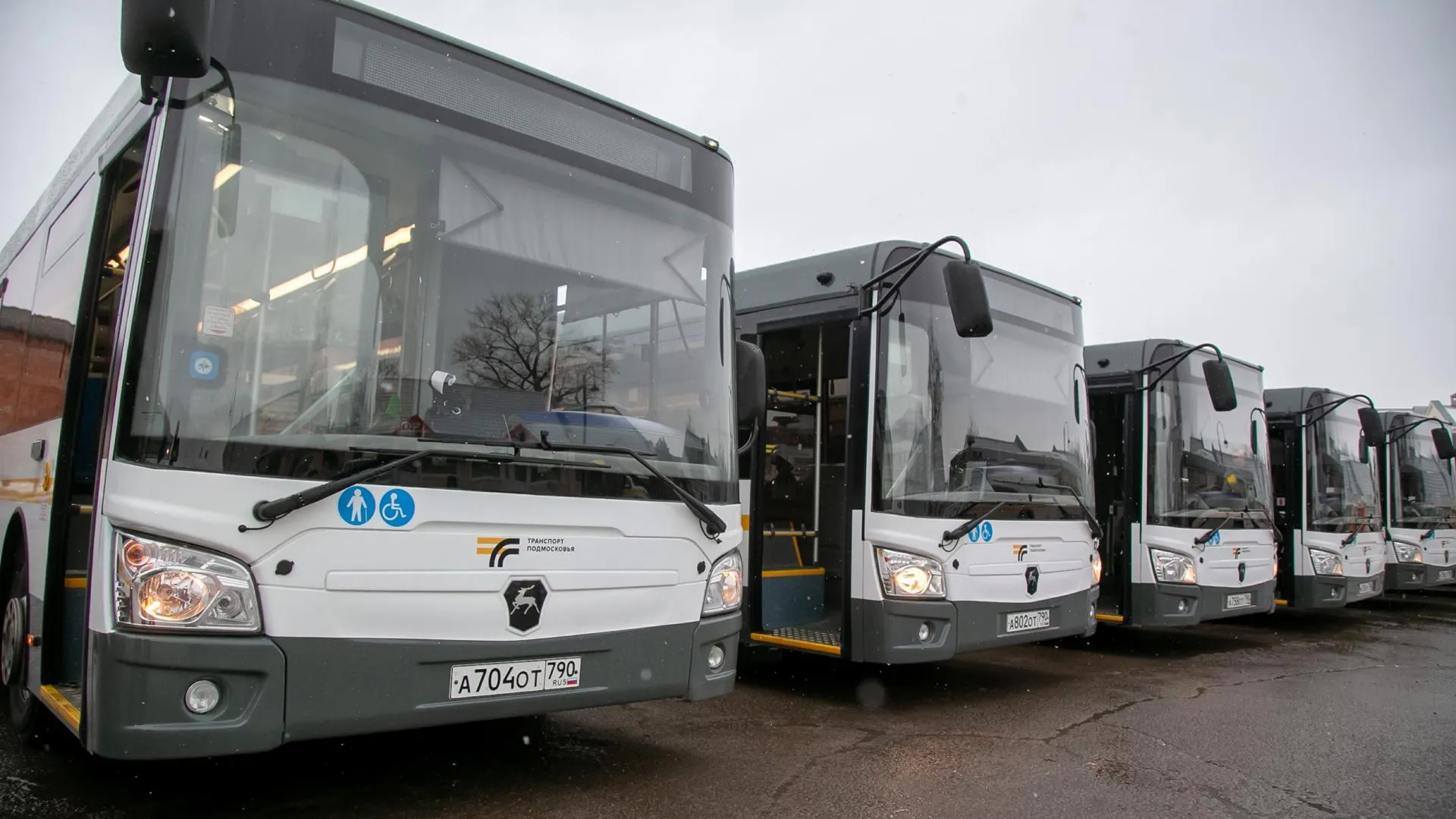 Фото: пресс-служба губернатора Московской области
