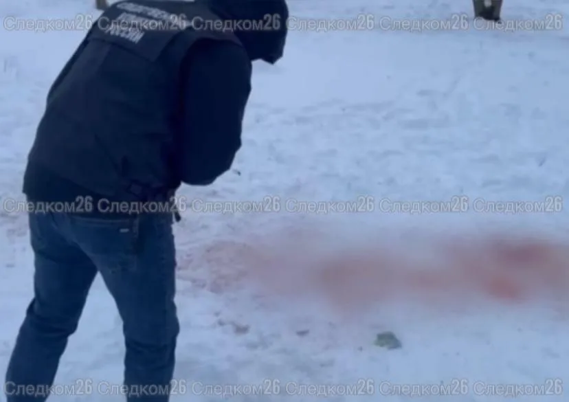 СУ СК по Ставропольскому краю