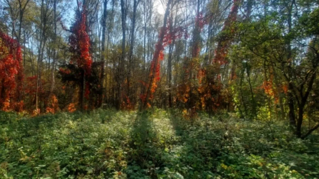 © Сергей Гунеев/РИА Новости