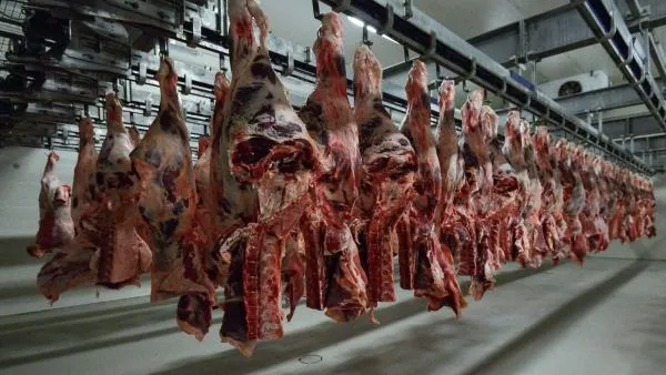Житель Новокузнецка пытался ограбить мясной цех