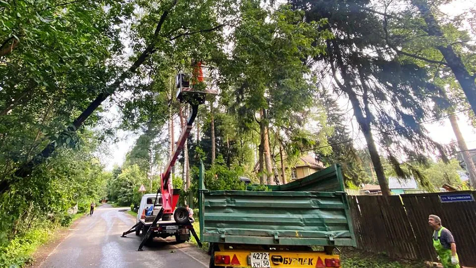 Фото: пресс-служба администрации г.о. Пушкинский