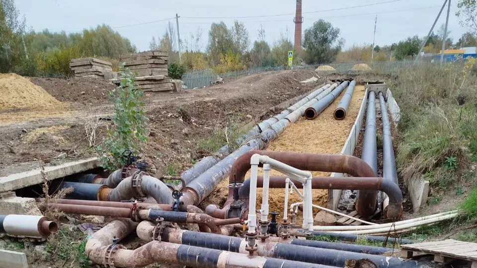 Фото: Наталья Дорофеева