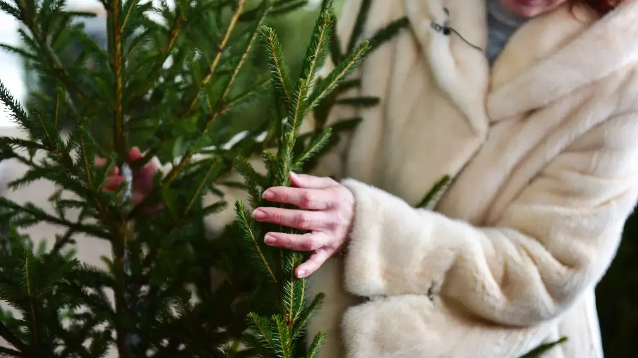 пресс-служба Администрации г.о. Химки