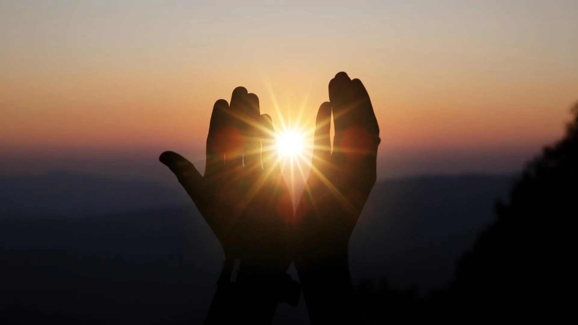 медиасток.рф