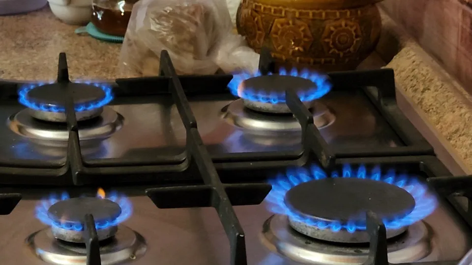 Фото: МедиаБанк Подмосковья/Арина Кузнецова