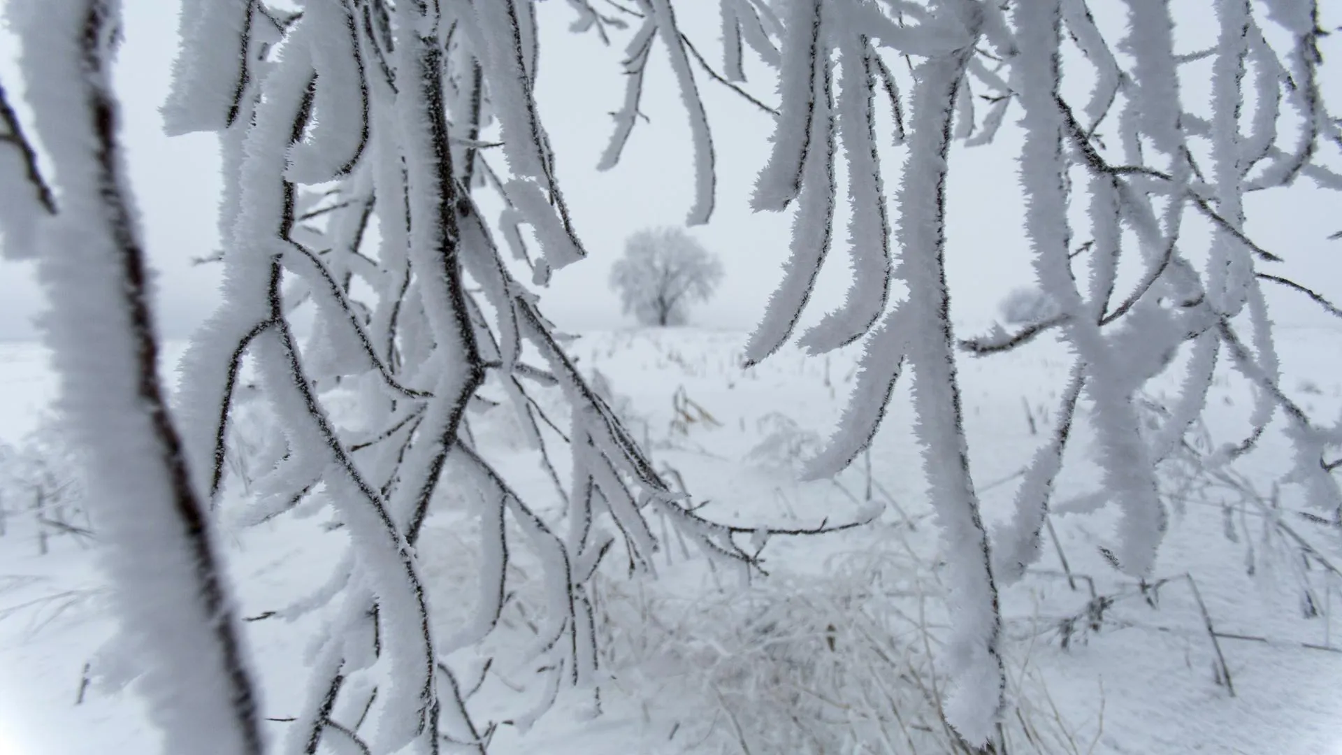 Nikolay Gyngazov/Global Look Press