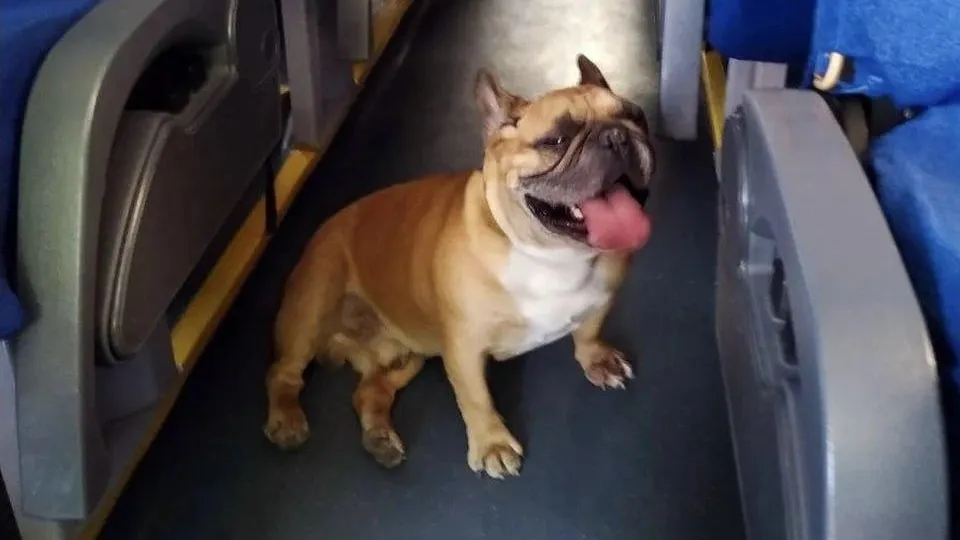 Минтранс Подмосковья