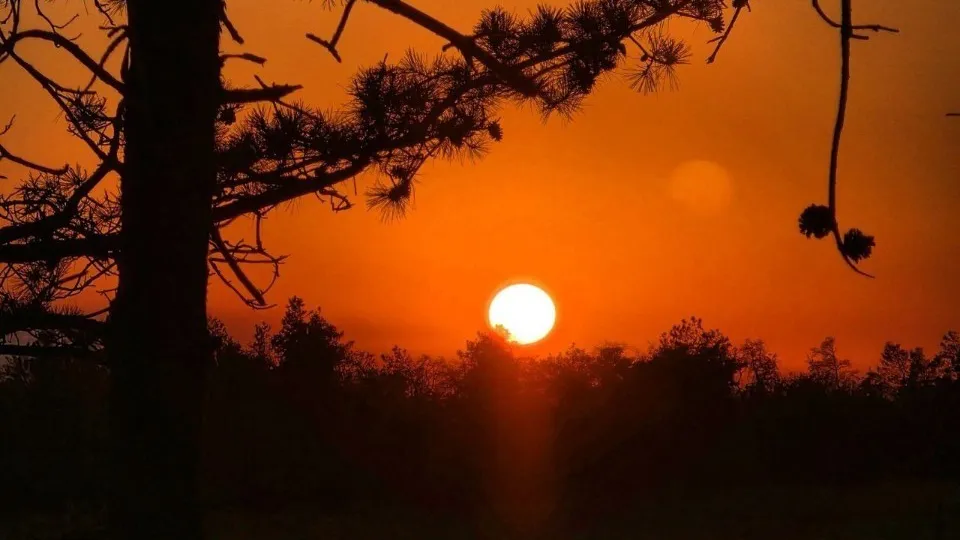 Фото: REGIONS/Анастасия Широкая