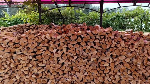 Фото: пресс-служба администрации м.о. Луховицы