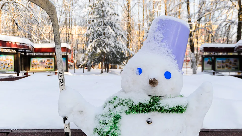 Фото: медиасток.рф