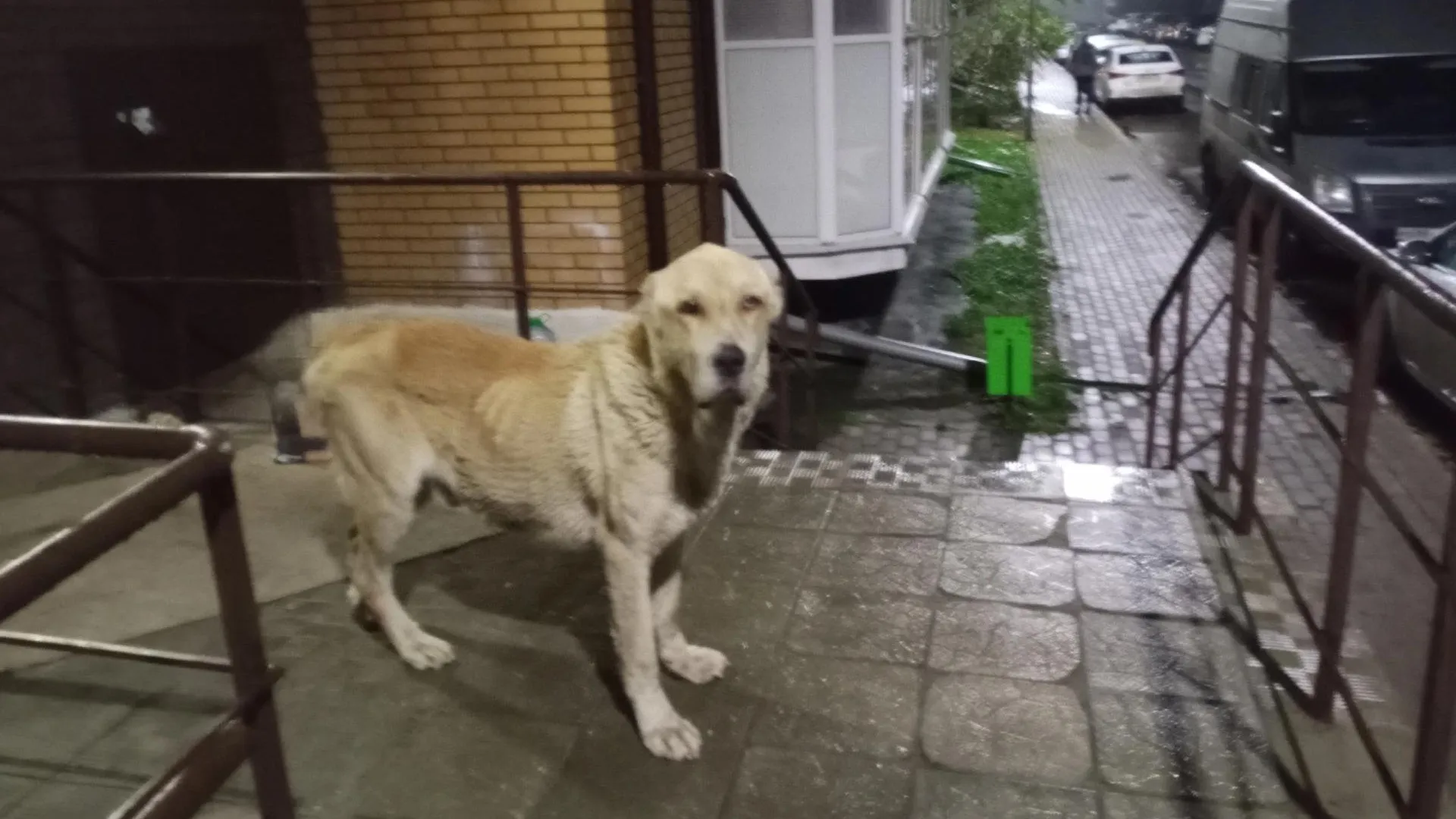 Фото: социальные сети