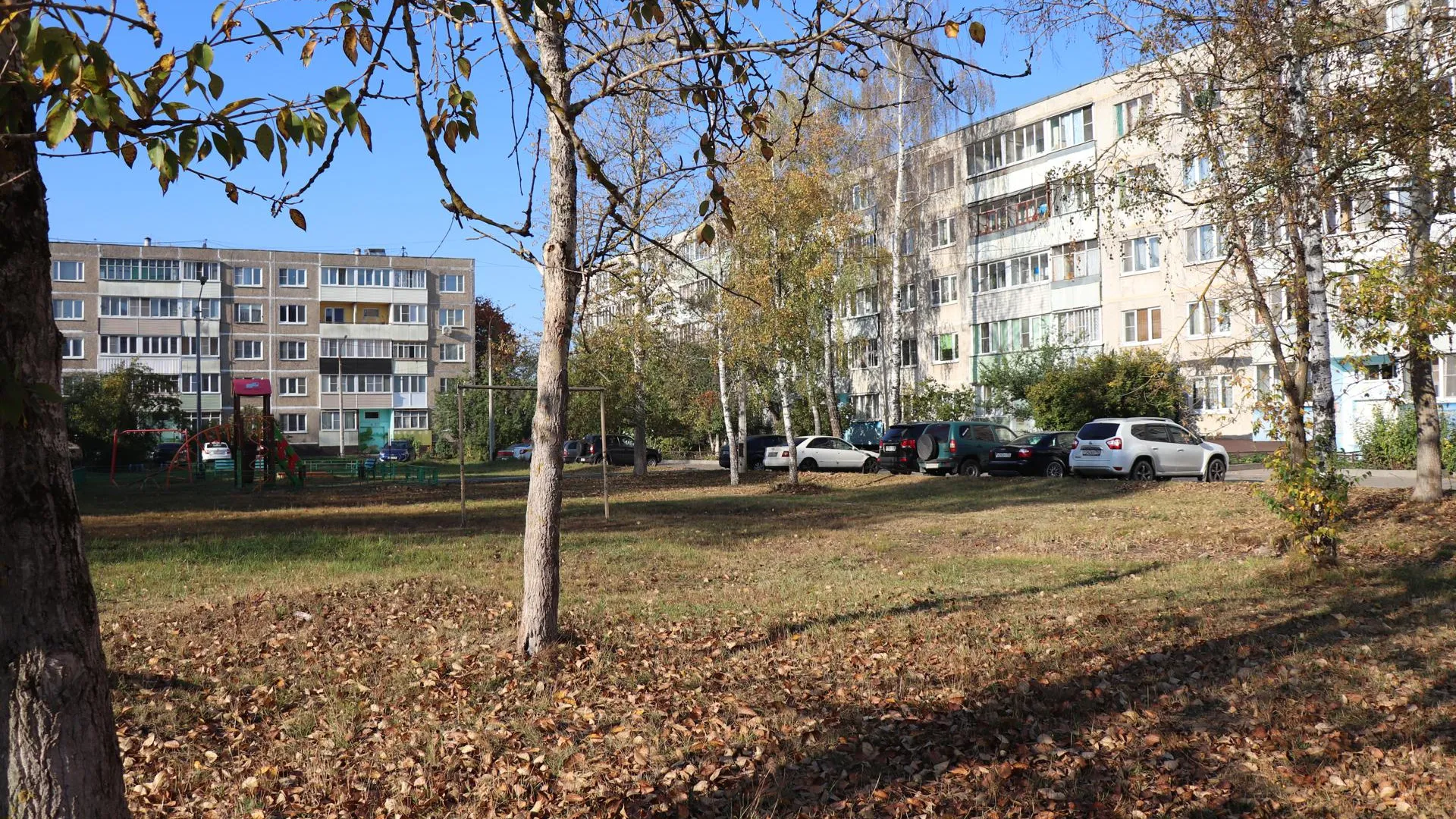 Фото: Василий Тремасов