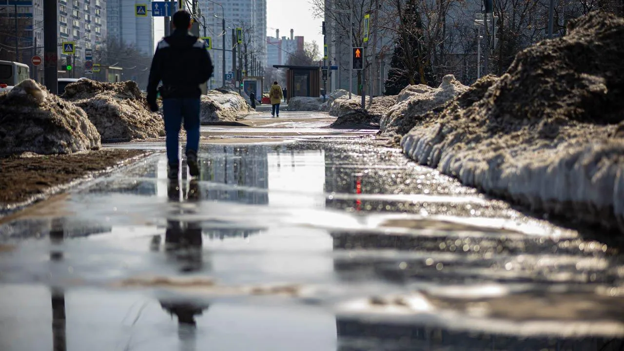 REGIONS/Роман Малышенко