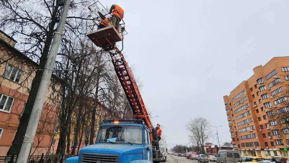 Фото: Анастасия Сараева